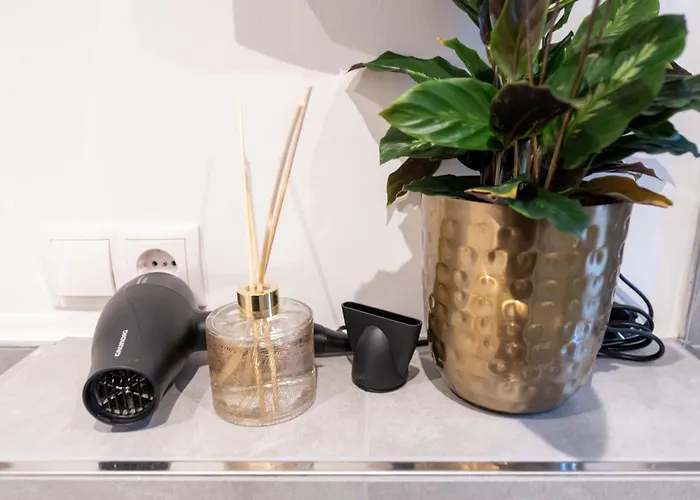 Appartement Modernes Augusta Am Rhein, Vollausgestattet, Ruhig Und Verkehrsguenstig Gelegen *